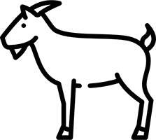 Lait de chèvre des Alpes